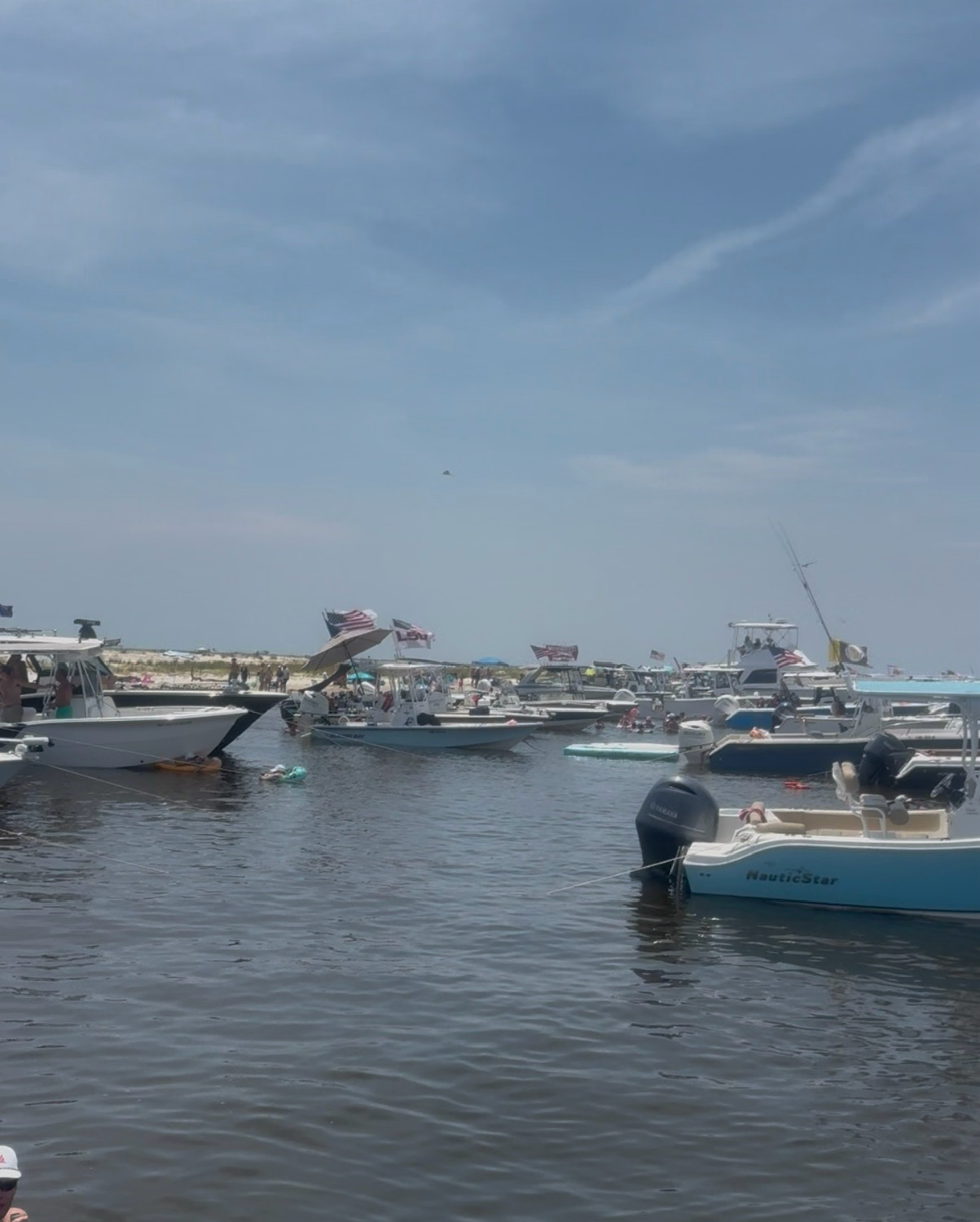 Second high-resolution Taylor and Cox exhibit still showing vessels gathered close to the Horn Island shoreline